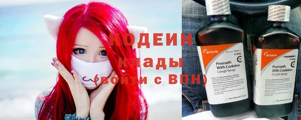 дживик Белокуриха