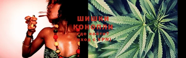СК Каменка