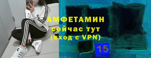 ECSTASY Богданович