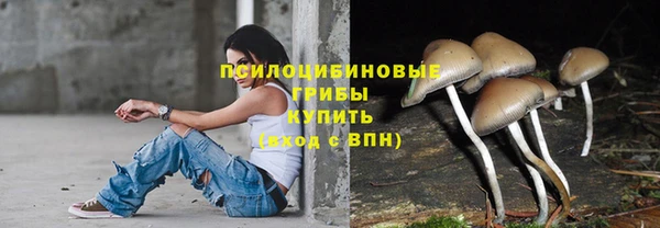 ECSTASY Богданович