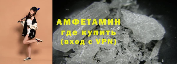 ECSTASY Богданович
