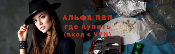 мяу мяу мука Аркадак