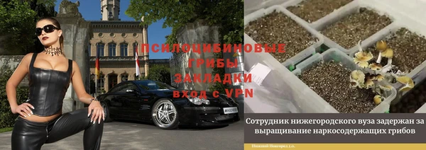 дживик Белокуриха