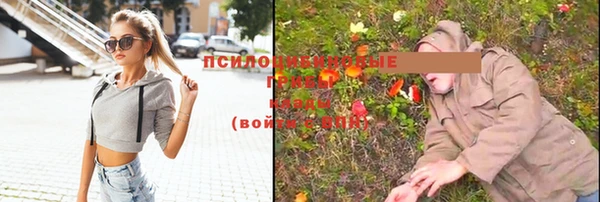 дживик Белокуриха