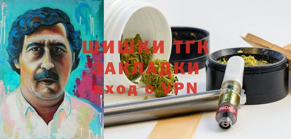 дживик Белокуриха