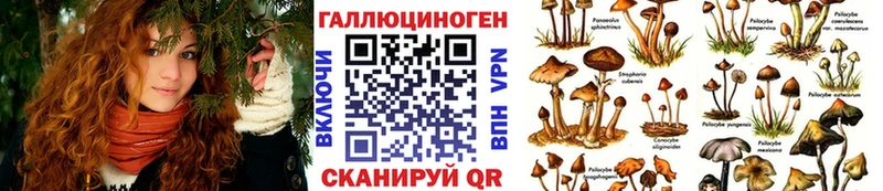 где можно купить наркотик  Гремячинск  Галлюциногенные грибы Cubensis 